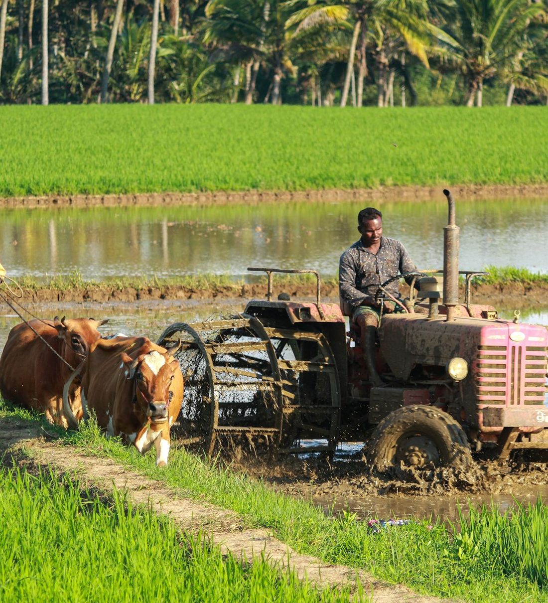 Tractor trabajando en campo agrícola: maquinaria agrícola a precio mayorista